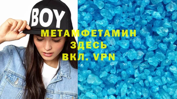 прущие грибы Осинники