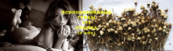 индика Пестово