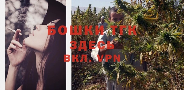 индика Пестово