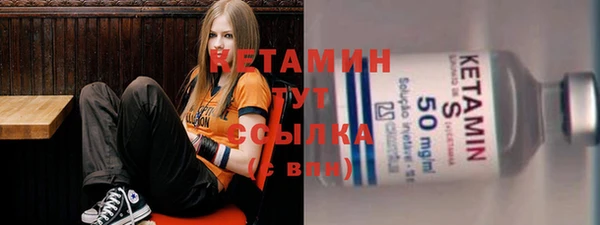 индика Пестово