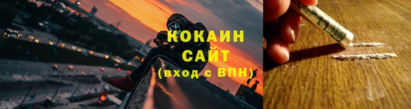 дурь Пересвет
