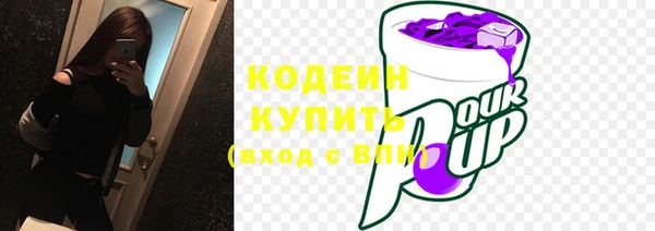 дмт Вяземский