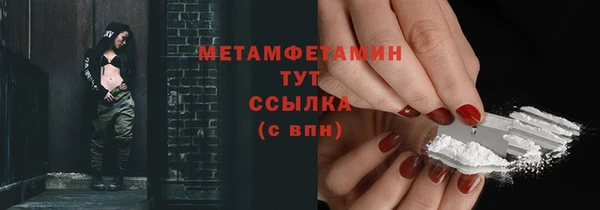 прущие грибы Осинники