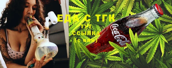 индика Пестово