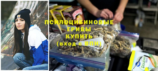 прущие грибы Осинники
