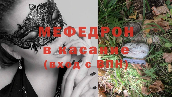 индика Пестово